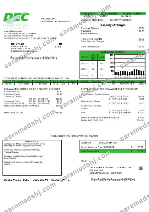 USA Delaware Electric Co-op business utility bill template in Word and PDF formats